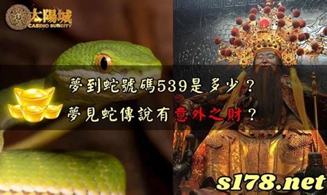 動物代表號碼|夢見動物號碼